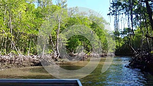 Everglades city, Florida, USA. Airboat tours at the mangrove forest