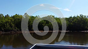 Everglades city, Florida, USA. Airboat tours at the mangrove forest