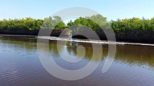 Everglades city, Florida, USA. Airboat tours at the mangrove forest