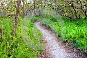 Everglades Coastal Prairie Trail