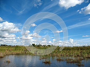 Everglades in Florida