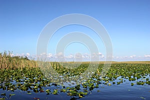 Everglades Florida