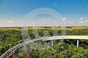 Everglades, Florida scenery tower