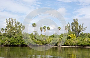 Everglades, Florida, USA