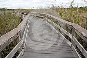 Everglades Nat. Park, Anhinga Trail