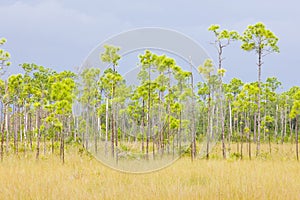 Everglades National Park