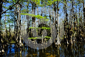 Everglades National Park