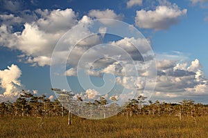 Everglades National Park