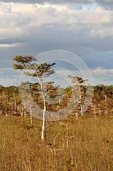 Everglades National Park