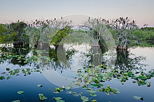 Everglades National Park