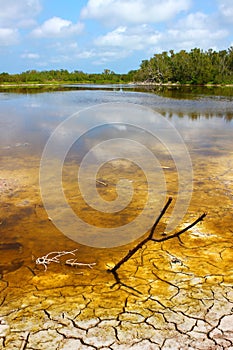 Everglades National Park Eco Pond