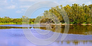 Everglades National Park Eco Pond