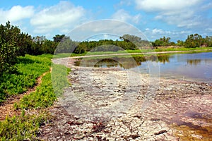 Everglades National Park Eco Pond