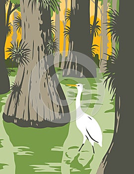 Everglades National Park with Egret in Mangrove and Cypress Trees WPA Poster Art