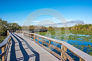 Everglades National Park in Florida.