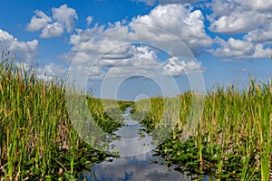 Everglades National Park - Florida