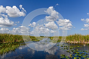 Everglades National Park - Florida