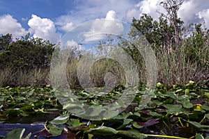 Everglades National Park in Florida