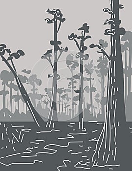 Everglades National Park in Florida Monoline Line Art Grayscale Drawing