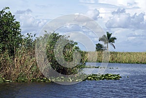 Everglades National Park, Florida, USA