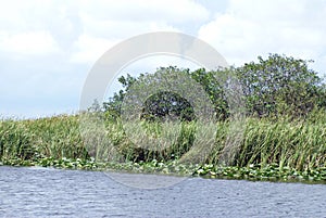 Everglades National Park, Florida, USA