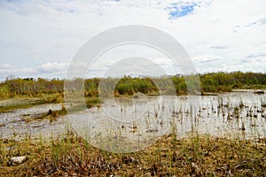 Everglades national park landscape