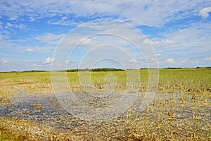 Everglades national park landscape