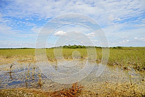 Everglades national park landscape