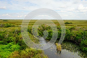 Everglades national park landscape