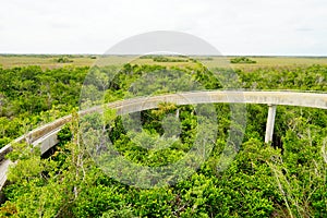 Everglades national park landscape