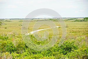 Everglades national park landscape