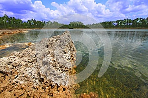 Everglades National Park - USA