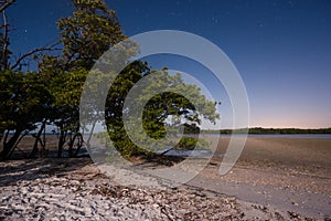 Everglades at Night