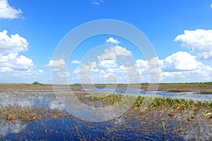 Everglades panorama with water refelction and blue sky