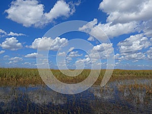 Everglades panorama with water refelction and blue sky