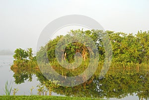 Everglades scenery