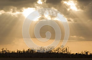 Everglades Sky