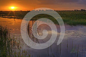 Everglades sunset