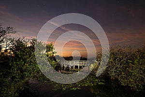 Everglades Sunset - Anhinga at Twighlight photo