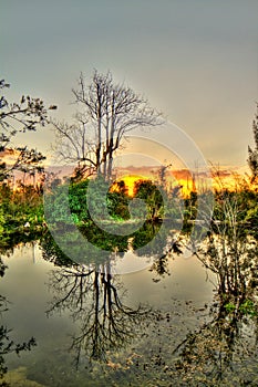 Everglades Sunset - National Park - Reflections at Sunset