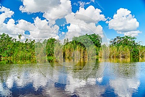 Everglades wetland in Florida, Everglades and Francis S. Taylor Wildlife Management Area