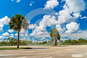 Everglades wetland in Florida, Everglades and Francis S. Taylor Wildlife Management Area