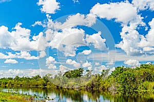 Everglades wetland in Florida, Everglades and Francis S. Taylor Wildlife Management Area