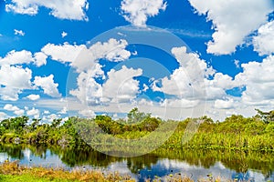 Everglades wetland in Florida, Everglades and Francis S. Taylor Wildlife Management Area