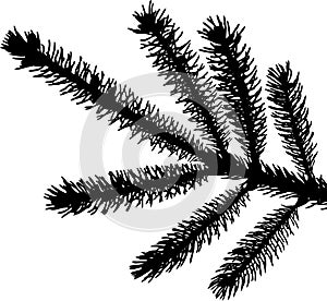 Evergreen Branch Silhouette