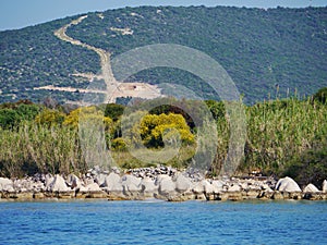 Evergreen bushes on the Croatian island of sv Petar