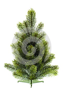 Evergreen christmas tree undecorated on white