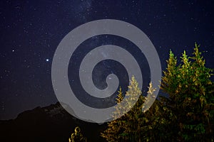 Evergreen fir tree with cones, peaks of French Alps mountains and starry sky at night on background