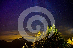 Evergreen fir tree with cones, peaks of French Alps mountains and starry sky at night on background