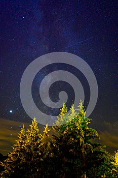 Evergreen fir tree with cones, peaks of French Alps mountains and starry sky at night on background